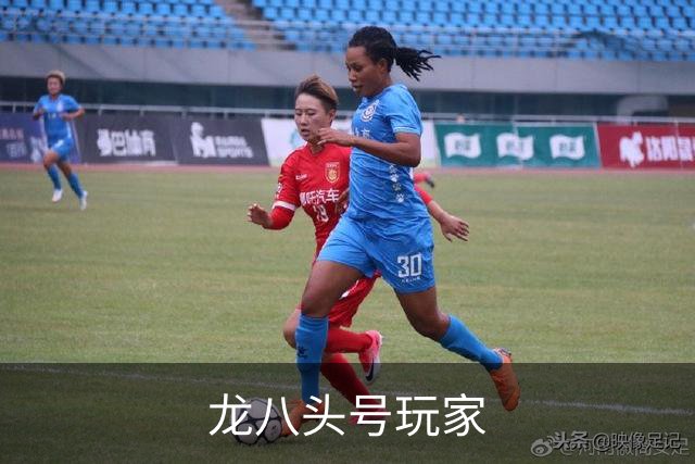 龙八头号玩家公司介绍图片